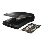 Epson Perfection V600 Photo Scanner